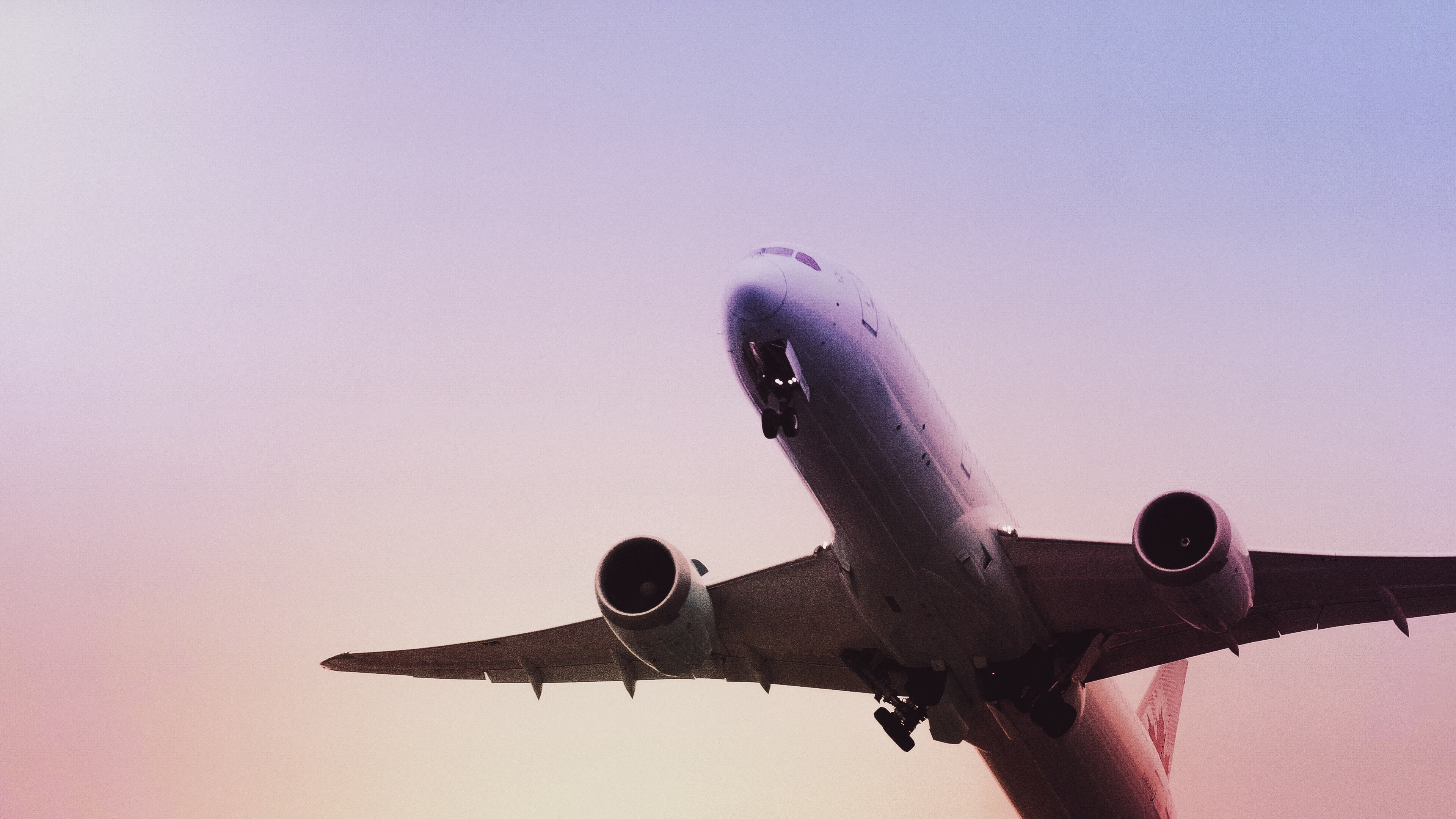 aereo sul viola.jpg